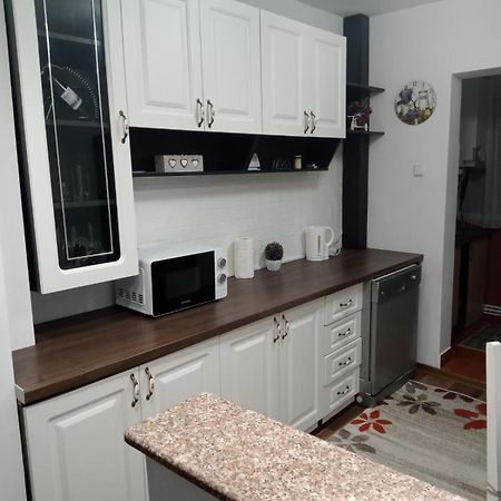 Penti Apartament Suceava Ngoại thất bức ảnh